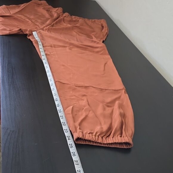 Theory Red Clay Cargo Joggers - Picture 13 of 13